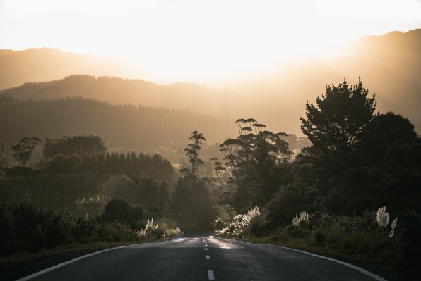 RoadinCoromandel-Nieuw-Zeeland.jpg